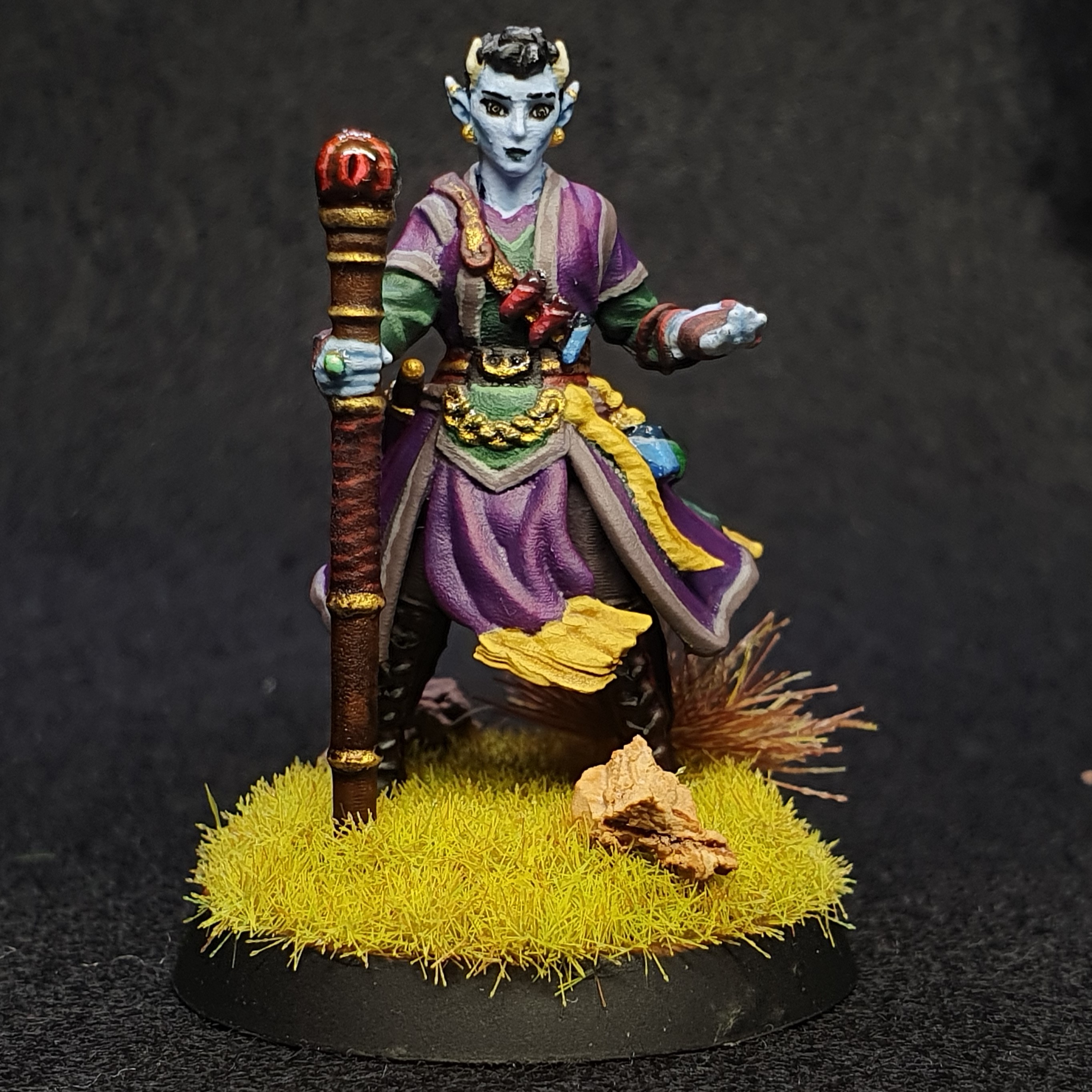 A picture of a tiefling miniature I painted. She has small horns and is holding a staff with a big eye on the top